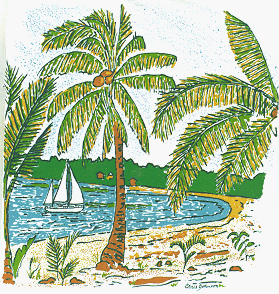 Beach and Palm